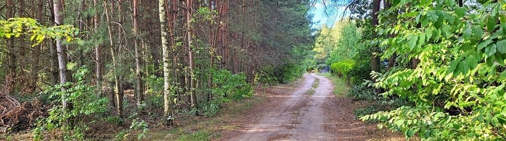 Cisza, natura i jeziora – rogóźno, do negocjacji
