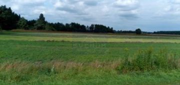 Duża działka rolna na sprzedaż w gminie krzepice