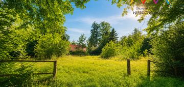 Inwestycja nad jeziorem – glamping, domki 1,66 ha