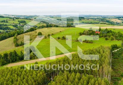 25 arów za 100 tyś. działka w krużlowej wyżnej!!