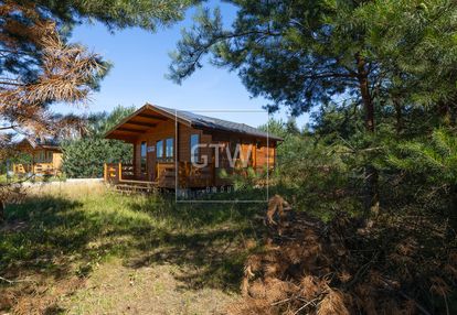 Działka z domkiem w leśnym otoczeniu,wola pniewska