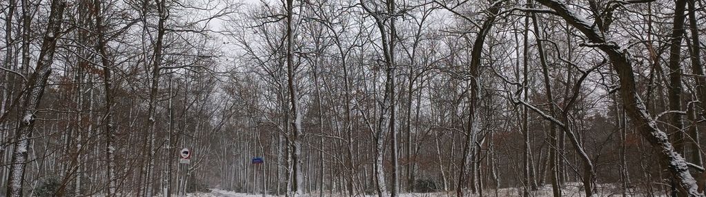 Przepiękne miejsce na choszczówce, 1562m