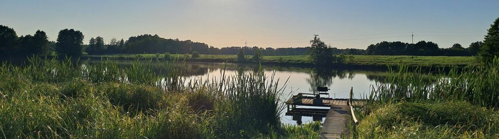 Działki wraz ze stawem