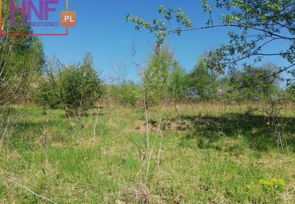 Działka o powierzchni 1,45ha w mszalnicy