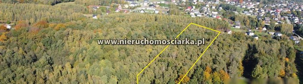 Działka leśna 1,54 ha czyżowice ul. gorzycka