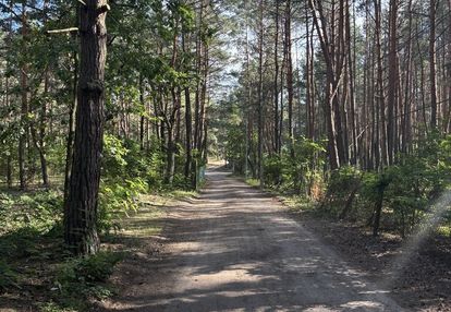 Działka budowlana w lesie, łosie koło radzymina