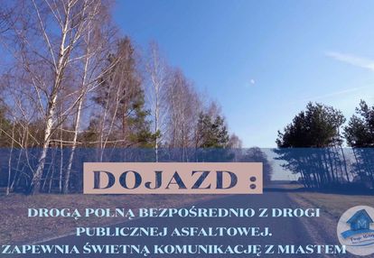 Twój azyl wśród zieleni!