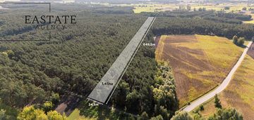 Działka leśna / natura 2000