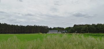 Piękne działki przy lesie (stefanowskie holendry)