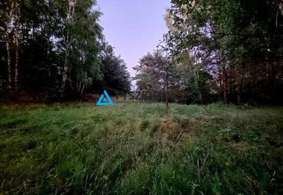 Działka z potencjałem nad brzegiem jeziora cheb