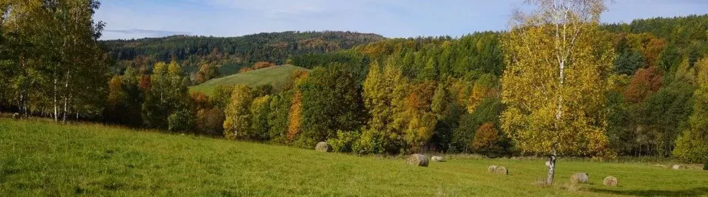 Sprzedam działki budowlane w miejscowości Wilcza