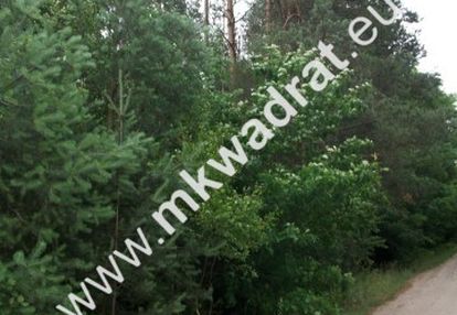 Urokliwa działka siedliskowa 27.500m2