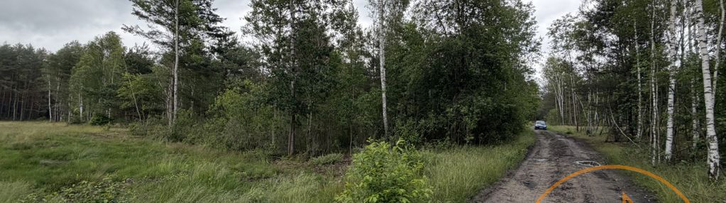 1.06ha za 44zł/m2 do negocjacji celinów