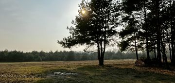 Twoja wymarzona działka budowlana 55 km od Warszaw