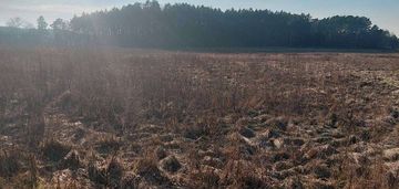 Działki budowlane na sprzedaż/tarnów, gm. lubiszyn