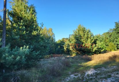 Działka we wsi borszyce gm. kowiesy!