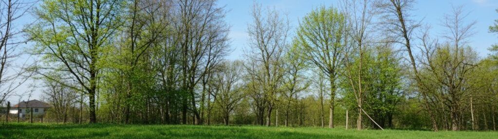 Działka budowlana z potencjałem – jejkowice