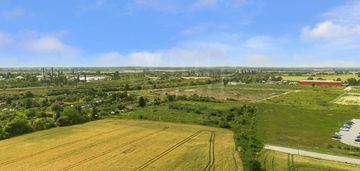 Strefa ekonomiczna: usługi, produkcja, przemysł