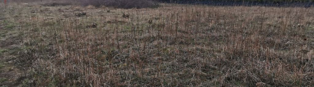 Działka budowlana 1007 m² – bielkówko, gm. kolbudy