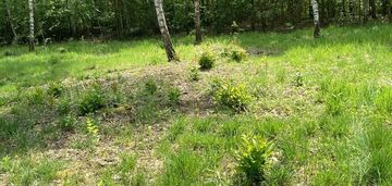 Działka za miastem.