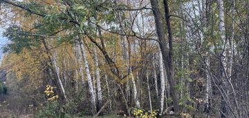 Na biznes , inwestycje znakomity dojazd