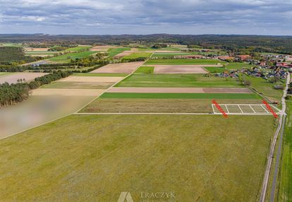 Film,dolina baryczy,media w drodze, las, jeziora,