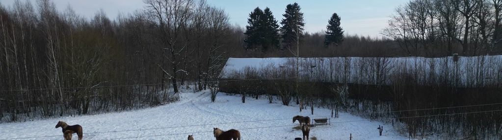 15 ha pod twoją inwestycję !