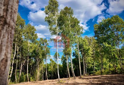 Magdalenka! działka 20 ar, w lesie, ze strumykiem