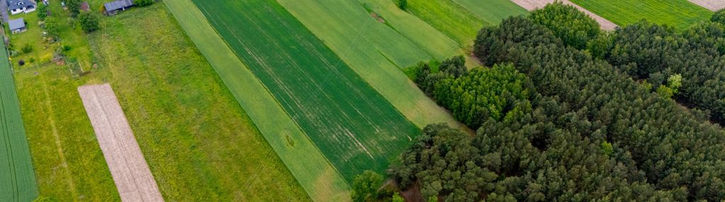 Działka górki grabińskie