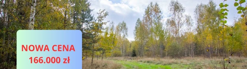 Działka budowana skrybicze * doskonałe sąsiedztwo