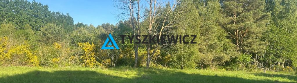 Działka w sąsiedztwie lasu- ostrowo