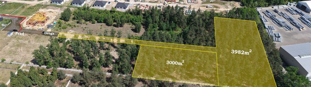 Działka leśna 3000 m² – sochaczew, wypalenisko