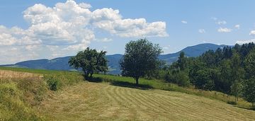 Beskid sądecki - 45 ar z możliwością zabudowy