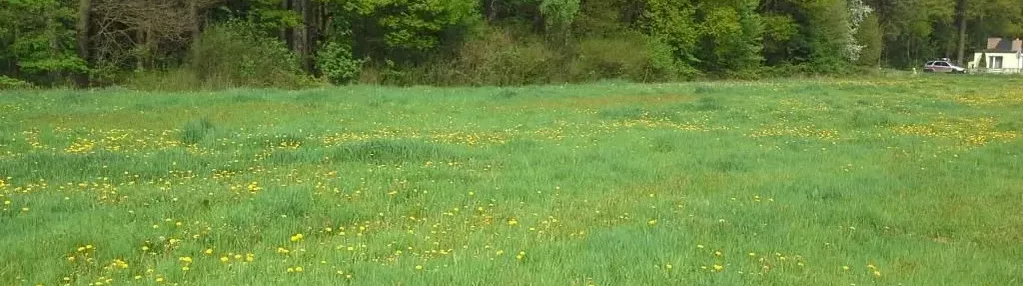 Działka na sprzedaż 800m2