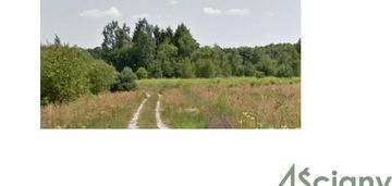 Strzeniówka - działka na granicy lasu