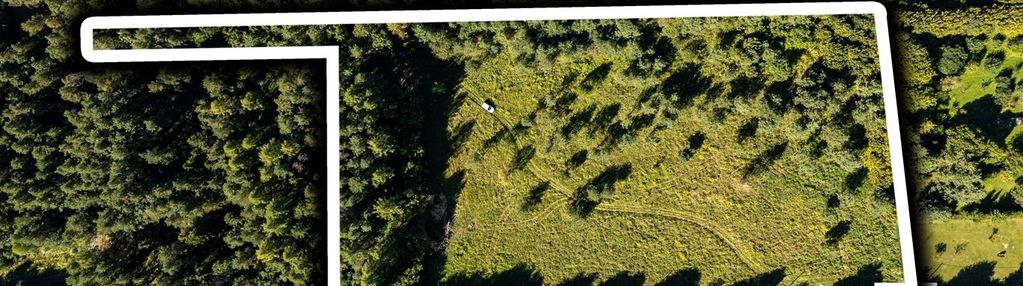 1.3ha|pod inwestycje|otoczenie lasu|zawiercie|