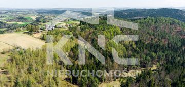 Na sprzedaż pastwisko zalesione w jastrzębi