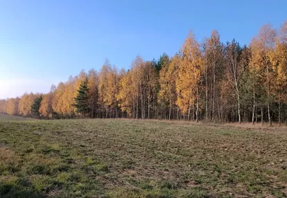 Działka na sprzedaż 495m2