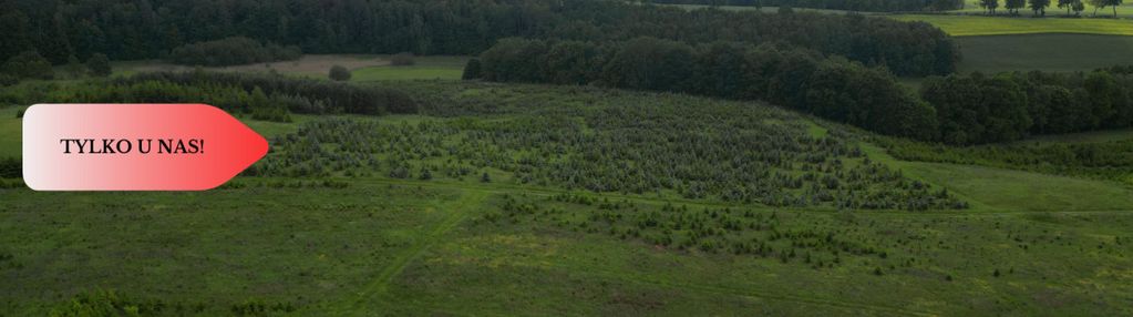 Działki w miradowie i bietowie. promocja