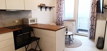 Mieszkanie w "4wieżach" z widokiem na park śląski