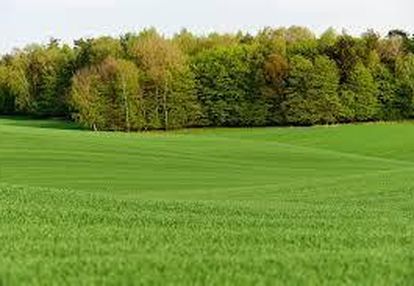 Działka pod zabudowę jednorodzinną- gręzów