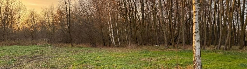Pozwolenie na budowę+prąd+wodociąg / strumyk i las