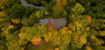 Gesty las w bonarówka, gm. strzyzów