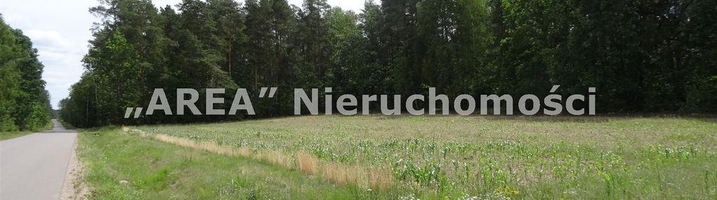 Bliskość lasu, pięknie położona,możliwość zabudowy