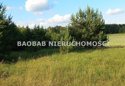 Piękna działka 1,3 ha na końcu wsi sródborze (wz)