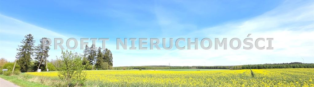 Działka budowlana z dojazdem z drogi asfaltowej