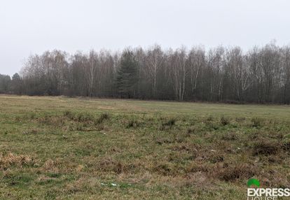 Działka rolna 4900 m, niedaleko warszawy