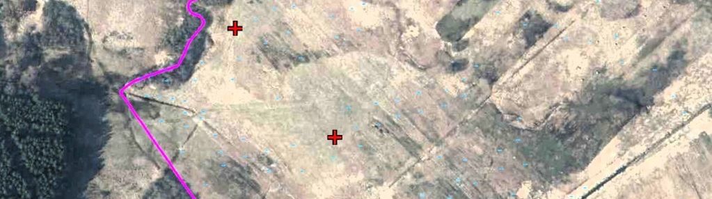 Łąki 0,32 ha wielgie gm. kazanów