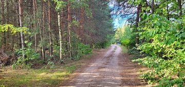 Cisza, natura i jeziora – rogóźno czeka
