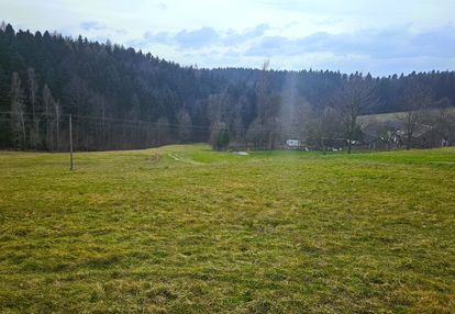 Działka siedliskowa- 99 arów- beskid sądecki